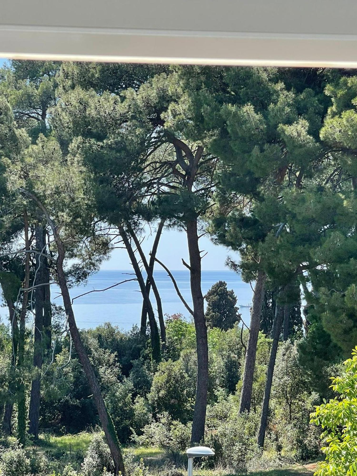 Bambina apartment Rovinj Eksteriør billede