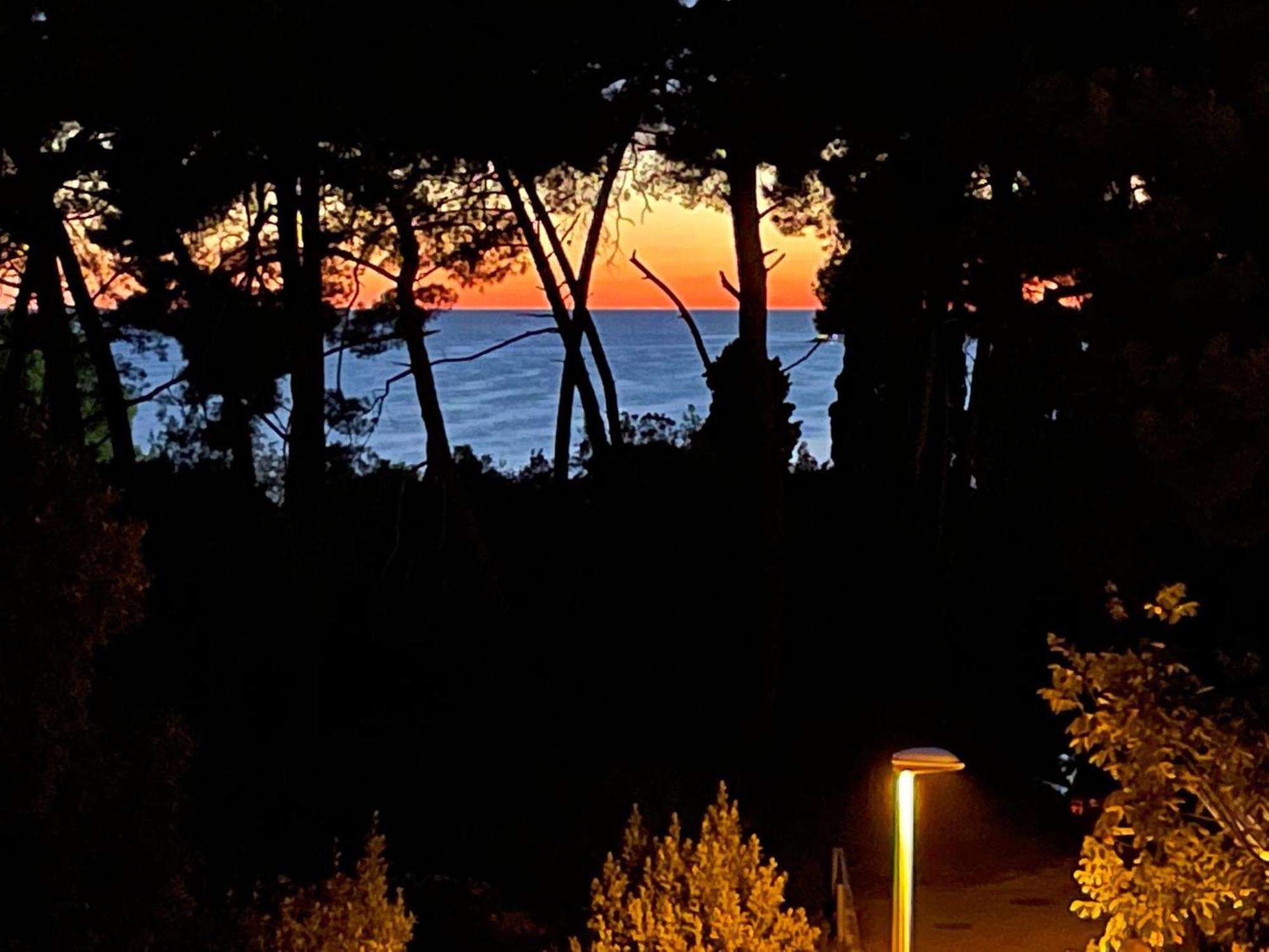 Bambina apartment Rovinj Eksteriør billede
